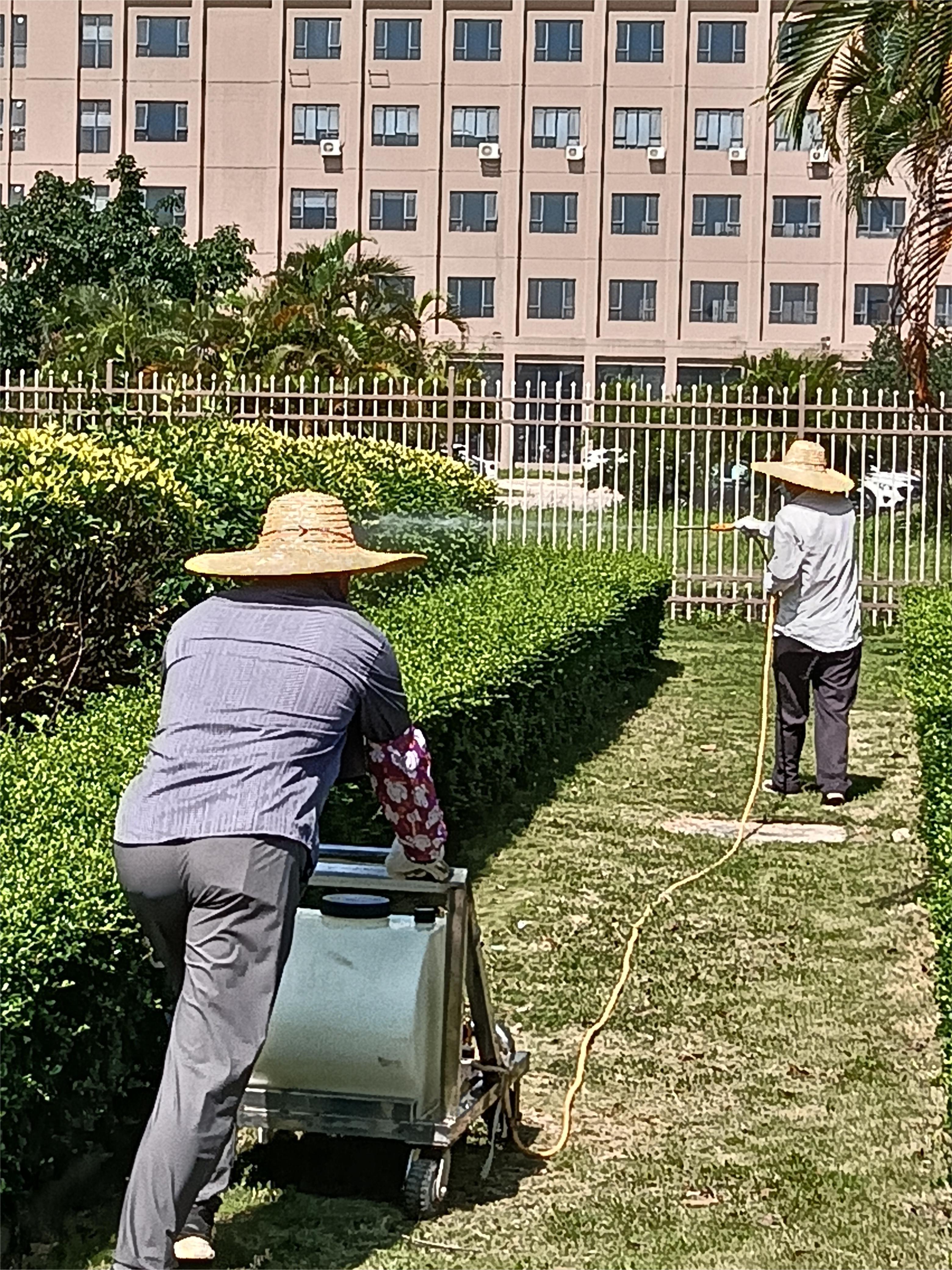 珠海白蚁防治 珠海白蚁预防 珠海消杀除四